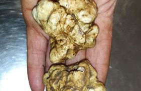 Agriturismo Antica Corte - Foto 34