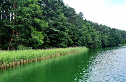 Stara Szafa - Komfortowy dom nad jeziorem - Foto 29