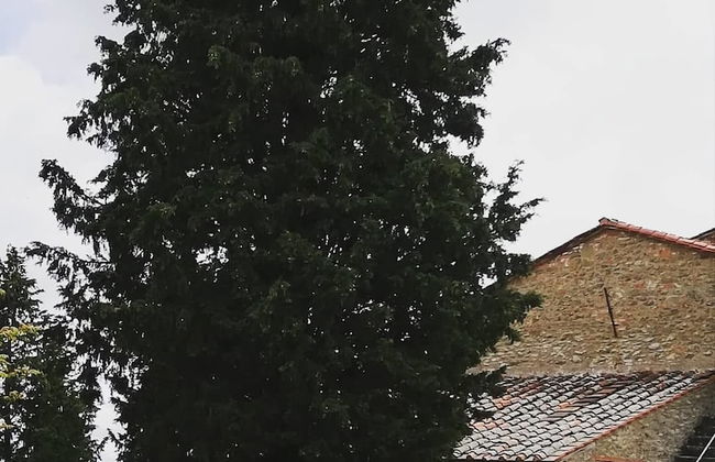 Agriturismo Sinciano - Foto 35