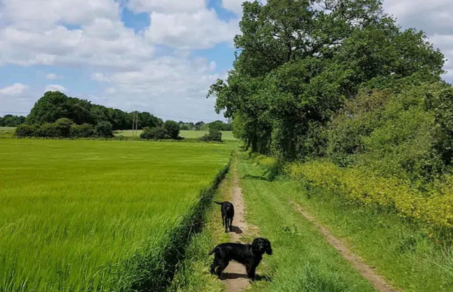 The Studio a Super Cute Place nr Southwold - Photo 11