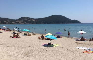 Les Palmiers - Foto 15