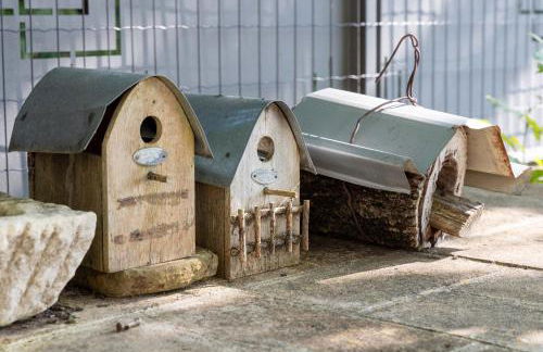 Agriturismo la Palazzetta di Assisi - Photo 6