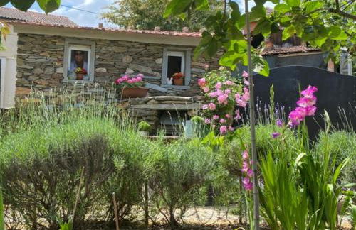 Casa Gelasio Private Pool - Foto 107