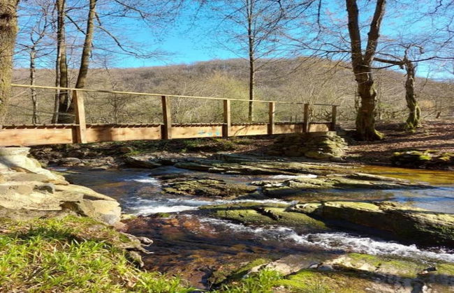 Attractive Holiday Home in Spa With Swimming Pool - Photo 39