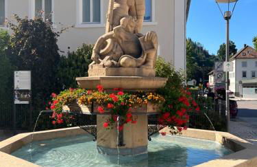 Apartment Schwarzwald-Anni Pool Tennis Sauna - Foto 62