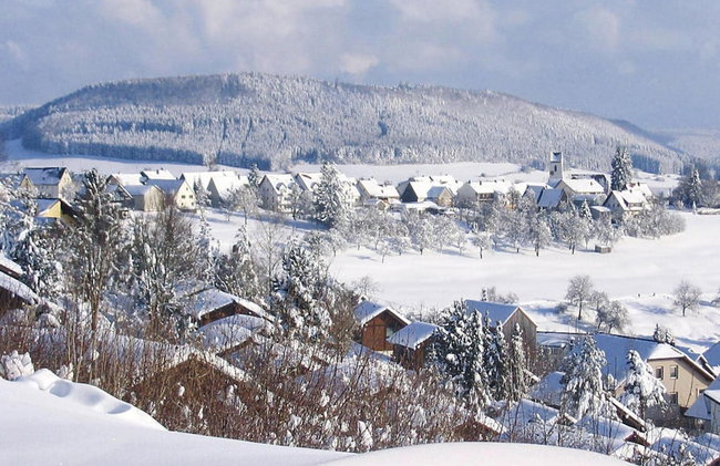 Feriendorf Ofingen, Bad Durrheim - Foto 23