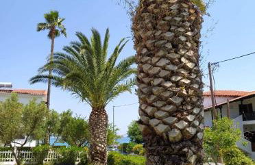 Maria's Apartment - Photo 15