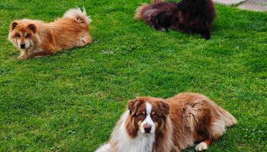 Petit séjour en chalet - Foto 2