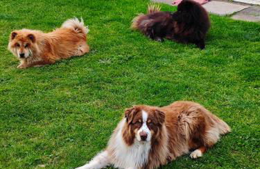 Petit séjour en chalet - Foto 2