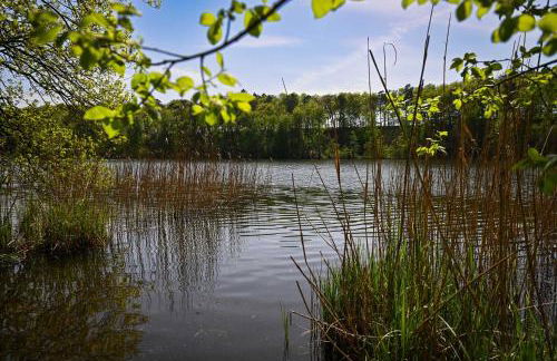 Tiny House Pioneer 2 - Salemer See - Foto 6