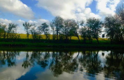 Forellenhof - Foto 25