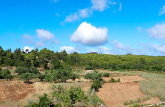 Fterini Apartments Sterna & Alletri - Foto 45