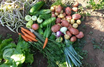 Gacka Valley - Foto 8