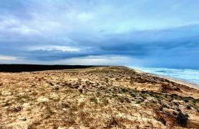 Les Bord'Océanes Sauna & Spa Villa Marensine et Villa Oyat - Foto 76