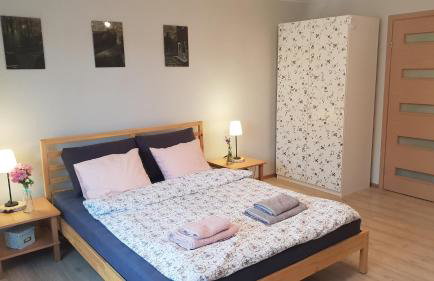 Guzikowa Chata - Foto 26