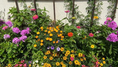 Ferienwohnung Paul - Foto 5, Garden view