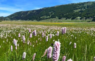 Jazz Shelter! Relax tra le vette abruzzesi! - Foto 29