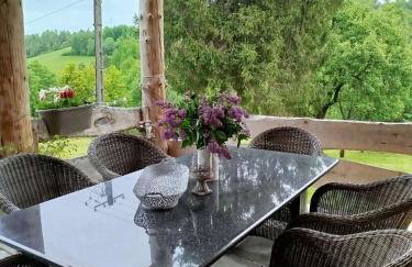 Dom Wakacyjny Brzozowy Gaj Bieszczady - Foto 42