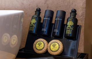 Omega Suites 31 - Photo 30