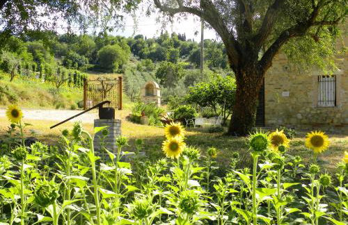 Appartamenti Verde Collina Umbra - Foto 13