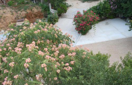 Toni i Kristina - Photo 30