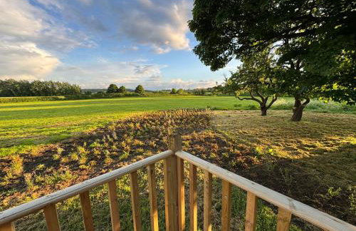 Unbox at Poplar Tree - Photo 64