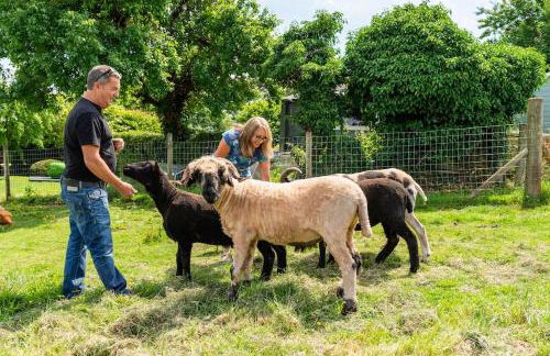 The Summerhouse, countryside retreat with private hot tub - Foto 27
