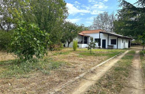 The Hidden Ranch - Foto 3