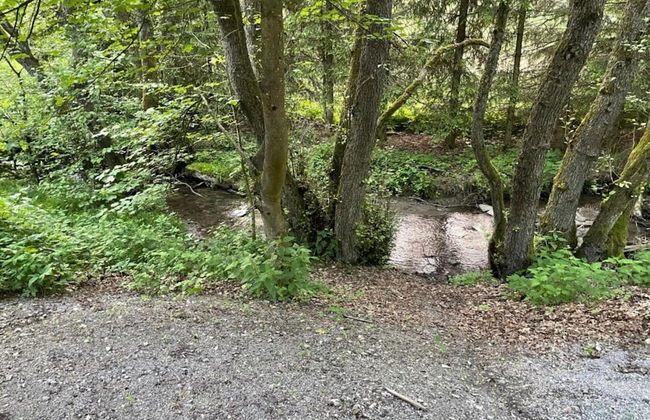 Wohnung in Usseln Nahe Skiliften - Photo 18