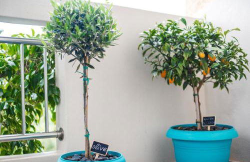 Svourou Appartment - Photo 6