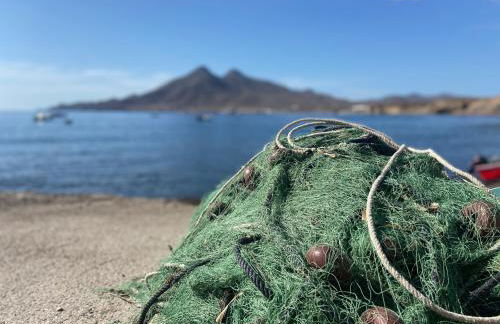 Villa Filon - Foto 36