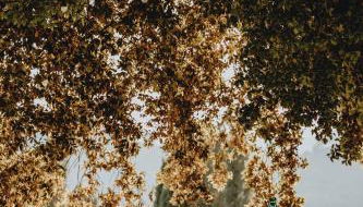 Tenuta Mocajo - Foto 5