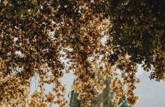 Tenuta Mocajo - Foto 5