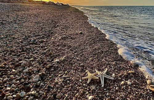 Maison Armandì - Foto 27