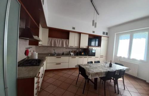 La testuggine - Foto 14