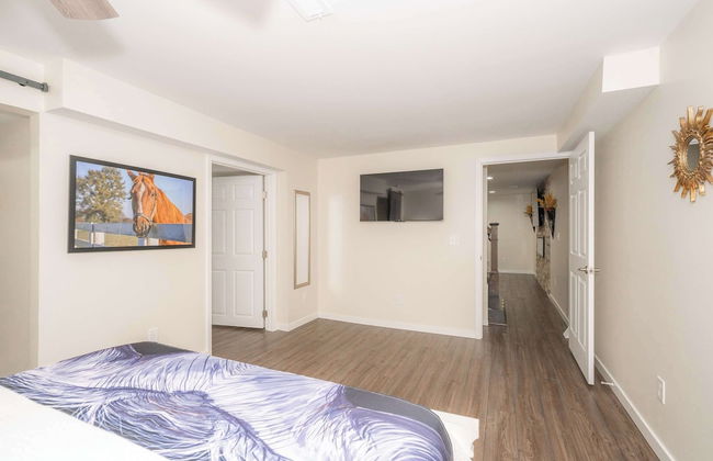 Horse Haven - Foto 6