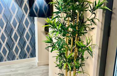 City centre, Top floor apartment, Two balconies - Foto 21