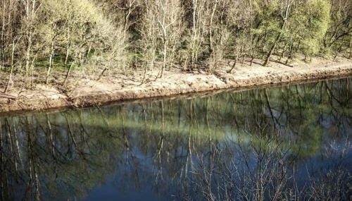 Fully Furnished Cabin Rental with Fire Pit near Cherokee National Forest - Foto 5