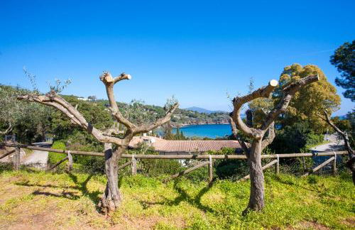 Residenza il Gabbiano - Foto 9