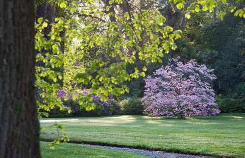Porticciolo Apartment - Foto 17