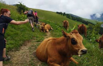 Saint-Sorlin D'Arves pied des pistes 310km de pistes tous niveaux - Photo 42