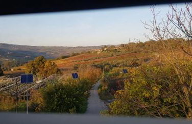 Masseria Frangiosa - Foto 77