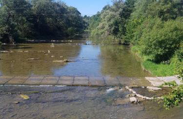 Zacisze Osławy Agroturystyka - Foto 18