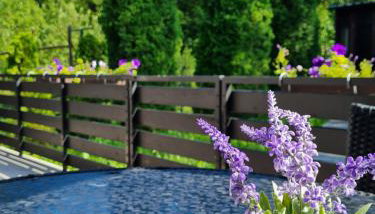 Kuća za odmor Hodak - Foto 2, Garden view