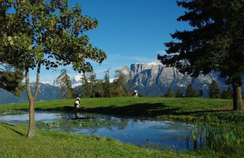 Unterpfaffstall-Hof - Foto 54