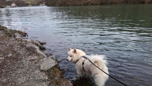 Pure Vista Hank Schwarzwaldblick - Foto 4