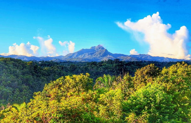 Blue Whale Villa - Photo 71