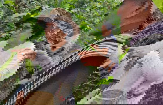 Casa Tien - Photo 52