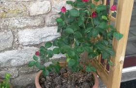 Harris End - Foto 13