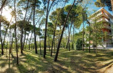 I Velieri - Photo 4